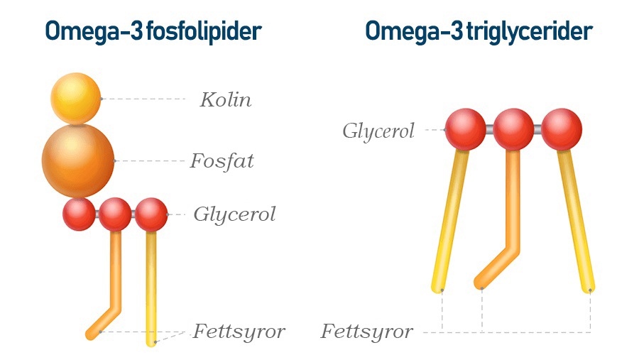 Vad är kolin?